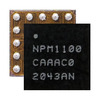 NPM1100-CAAA-R7 Image